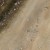 AK8021-1.jpg