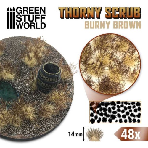 thorny-scrubs-burny-brown-spiky-tuft.jpg