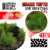 self-adhesive-scenic-basing-grass-tufts-xxl-22mm-light-green.jpg