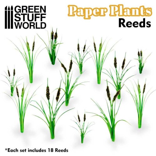 paper-plants-reeds.jpg