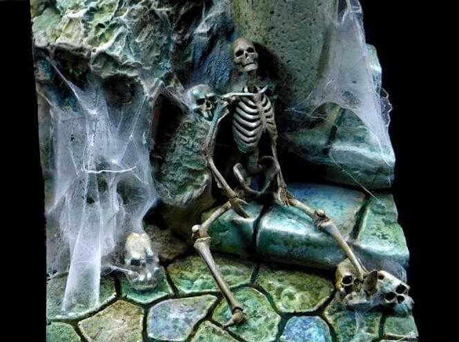 spider-serum (1).jpg