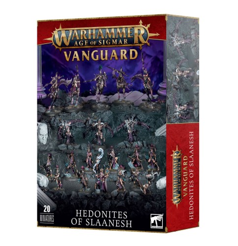 TR-70-18-99120201146-Vanguard Hedonites of Slaanesh.jpg
